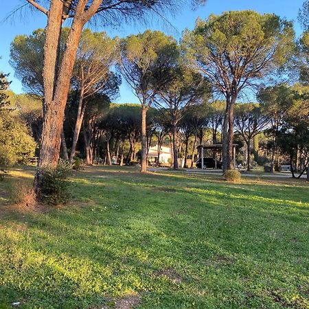 Residence Gabrielle Le Cannet Des Maures Экстерьер фото